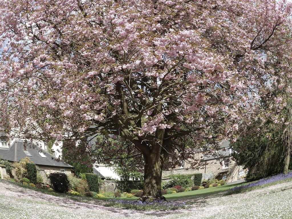 Hotel Hedgefield House Ryton  Zewnętrze zdjęcie